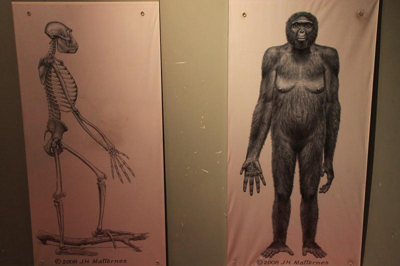 Original image