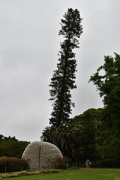 DSC_2822