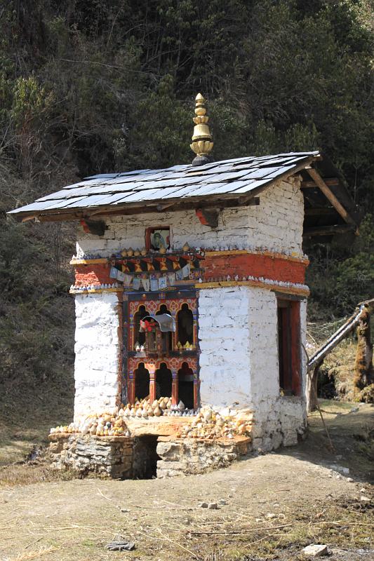 Original image