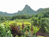 IMG_20191219_093536