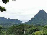 IMG_20191219_095616
