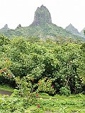 IMG_20191219_100238