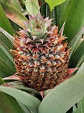 IMG_20191219_102822