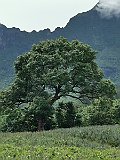 IMG_20191219_103026
