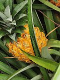 IMG_20191219_103412