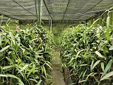 IMG_20191219_115350