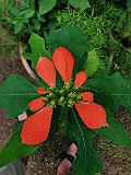 IMG_20191219_120114
