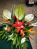 IMG_20191220_081519