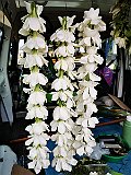 IMG_20191220_090307