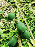 IMG_20191221_091810