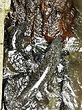 IMG_20191221_092730