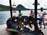 IMG_20191221_101118