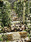 IMG_20191221_110601