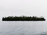 IMG_20191223_073547