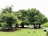 IMG_20191223_095703