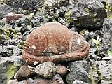 IMG_20191223_100717