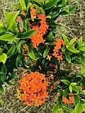 IMG_20191223_110618