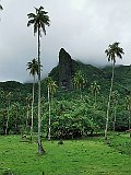 IMG_20191223_111313