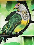 IMG_20191223_121001
