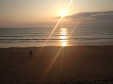 IMG_0919