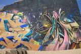 IMG_7915