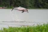 DSC00415