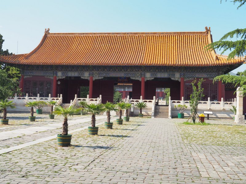 P6151733