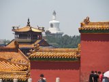 P6141638