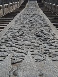 P6141644