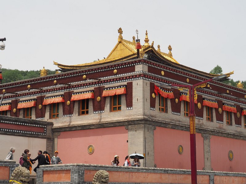 P6081233