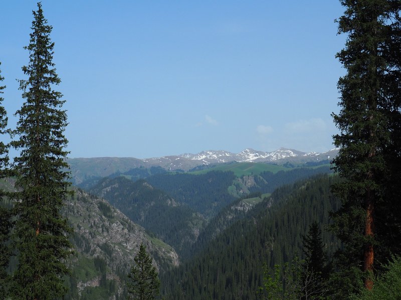 P5240129