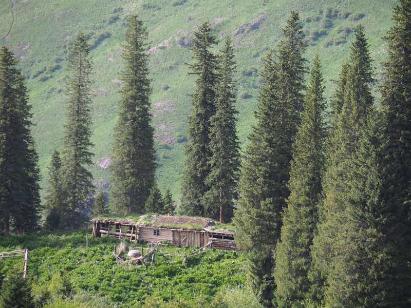 P5240133