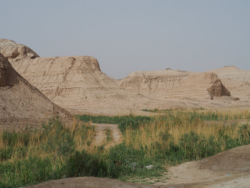 P5250253