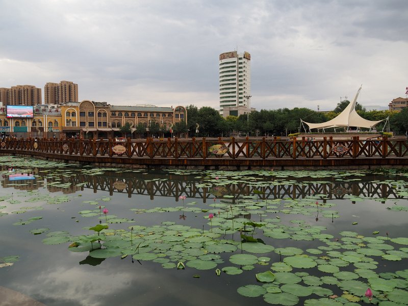 P6020772