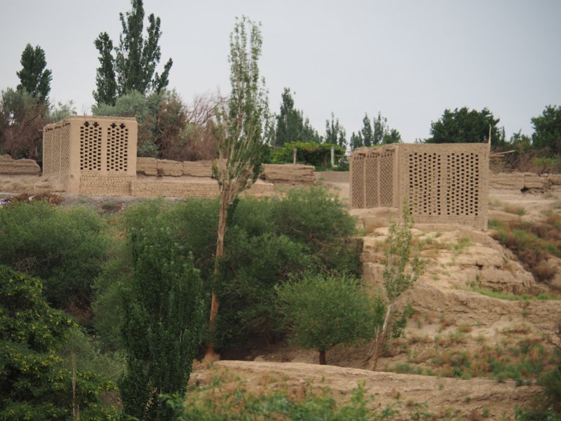 P6030795