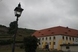 IMG_3911