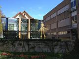 IMG_0783