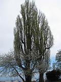 IMG_7311