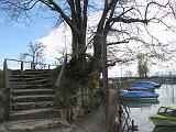 IMG_7336