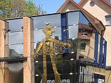 IMG_7393