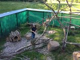 IMG_1756
