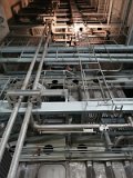 IMG_20210729_114521