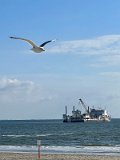 IMG_5106