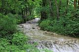 IMG_4968