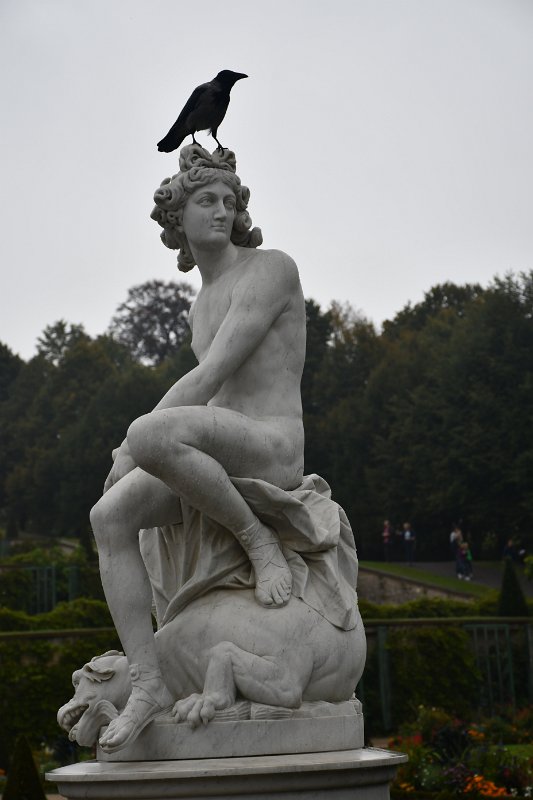DSC_0332