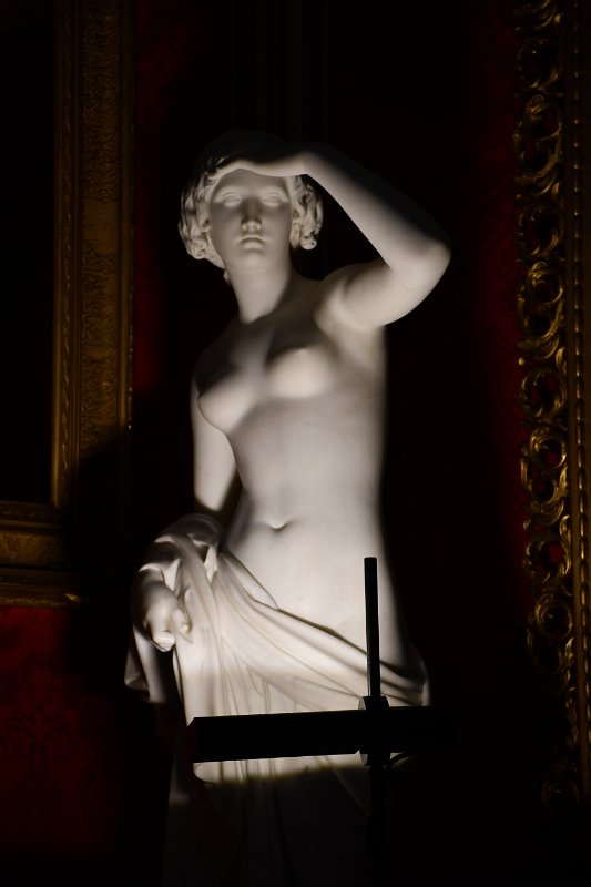 DSC_0365