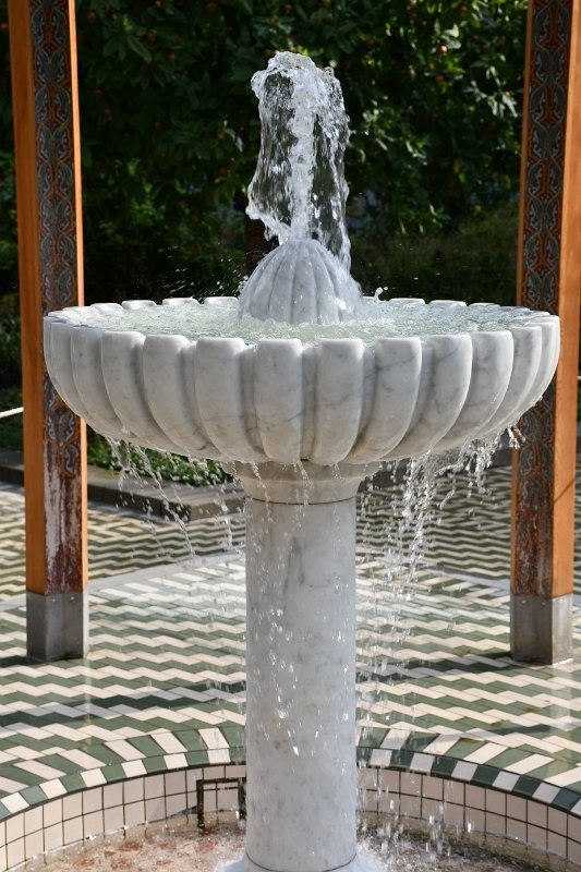 DSC_0598
