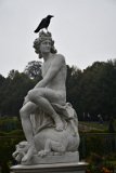 DSC_0332