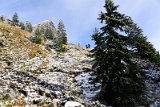 _DSC2129