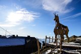 _DSC2180